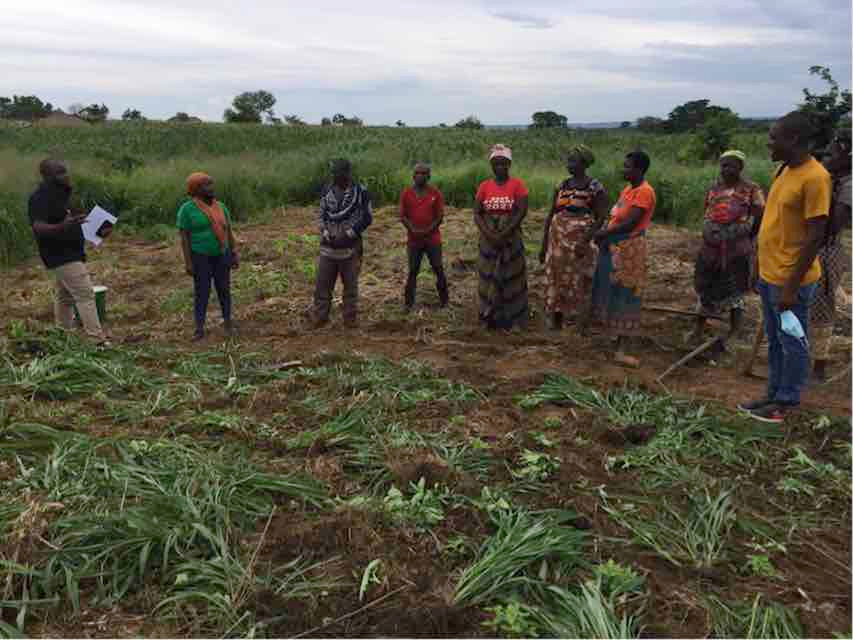 ADPP apoia a recuperação socioeconómica das famílias  deslocadas em Cabo Delgado