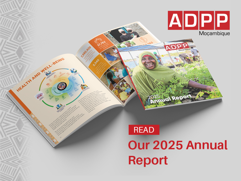 Pop'up relatorio Anual 2025