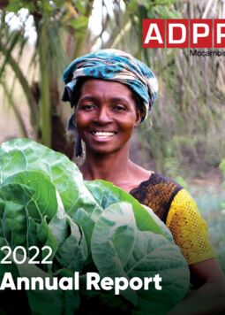 Annual Report 2022